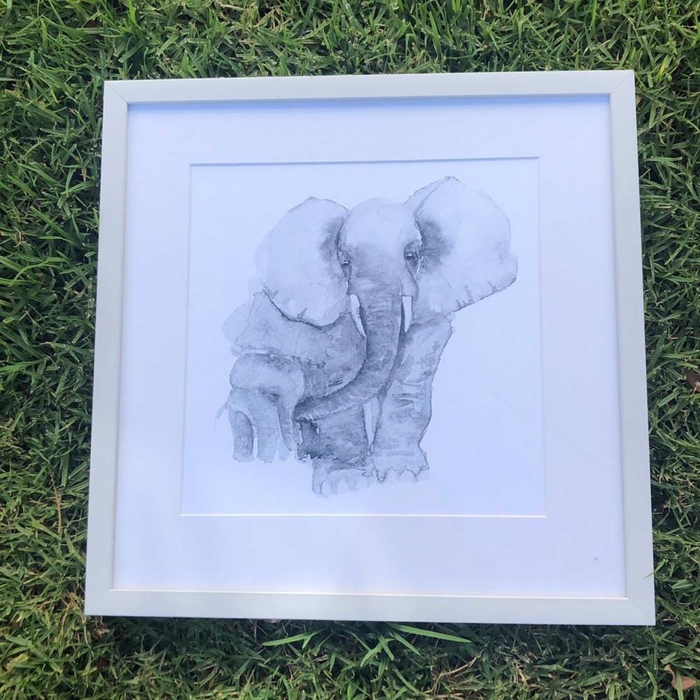 Framed picture of a beautiful elephant 🤍🖤